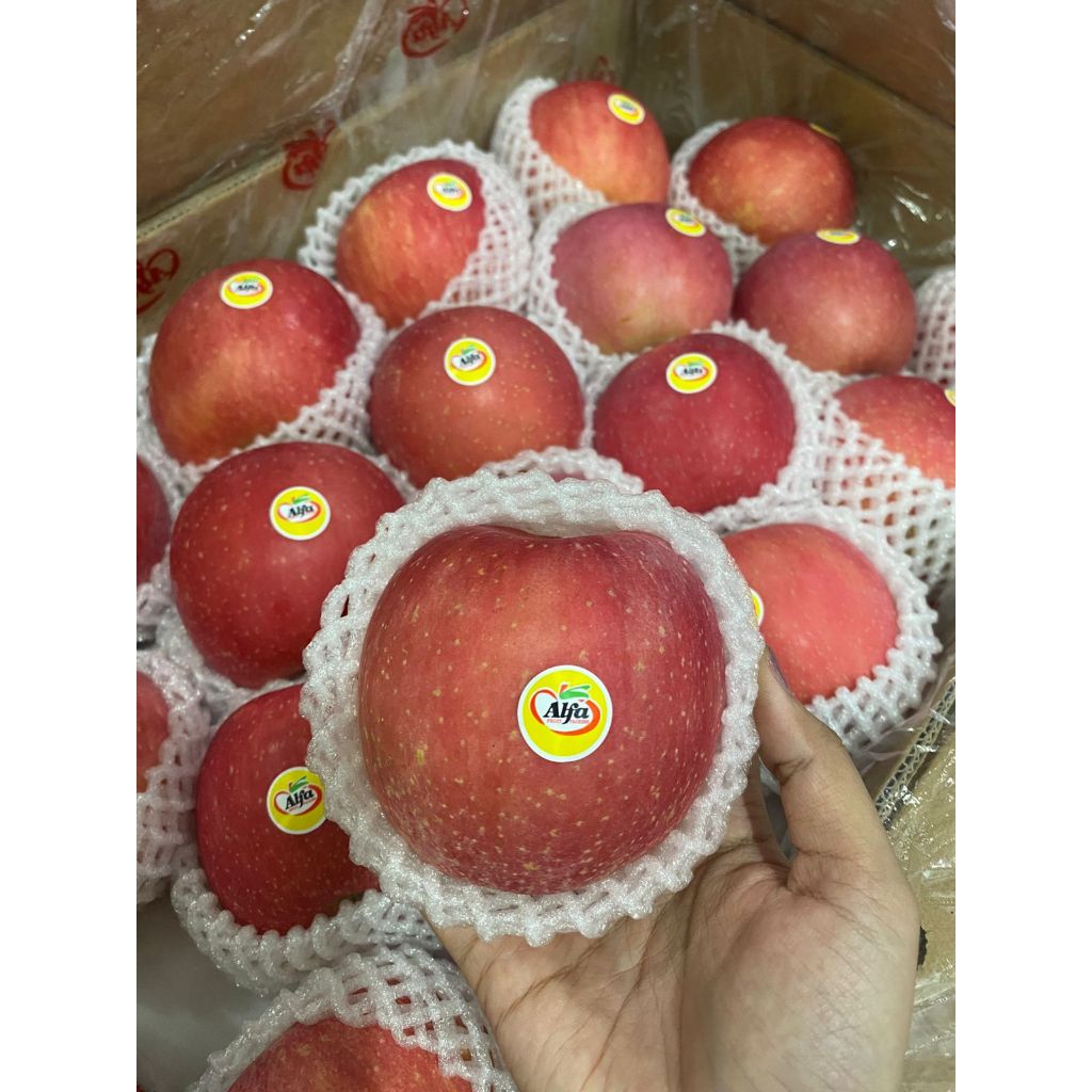 

APEL ALFA. APEL FUJI ALFA MANIS MURAH MERAH GARING MANIS