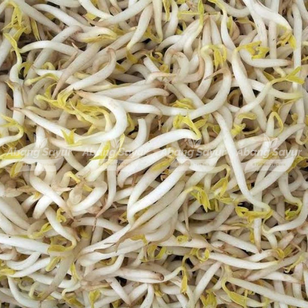 

Toge 250gr – Kirim Instant Bandung Sayur Segar (Fresh Harian) - Kecambah Sehat Siap Masak