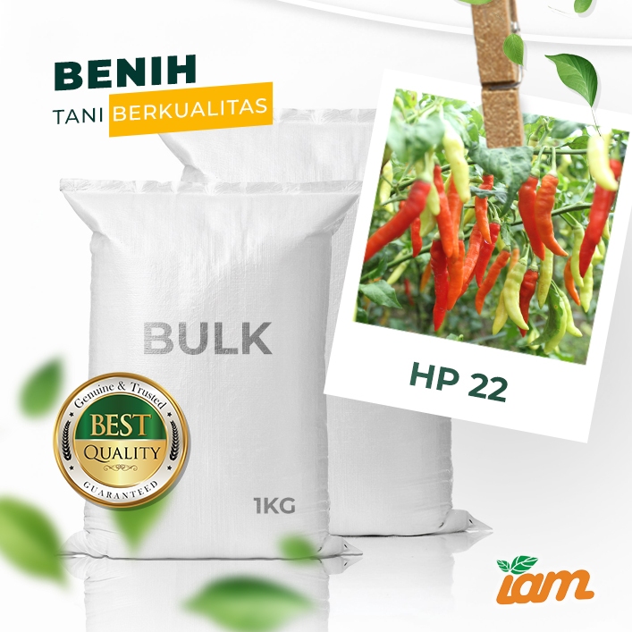 

BULK 1kg – cabai OP (HP 22)