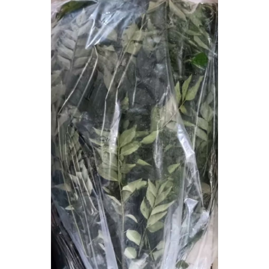 

daun kari segar 500gr