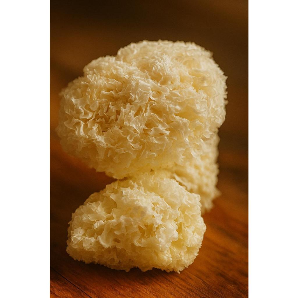 

Jamur Salju Es Putih Kering | White Fungus Bai Mu Er Snow Mushroom | 30 Gram