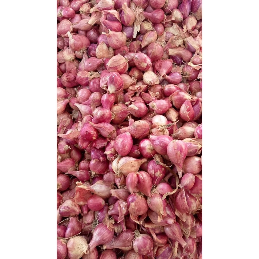 

bawang merah kecil lokal nganjuk varian 100gr 250gr 500gr