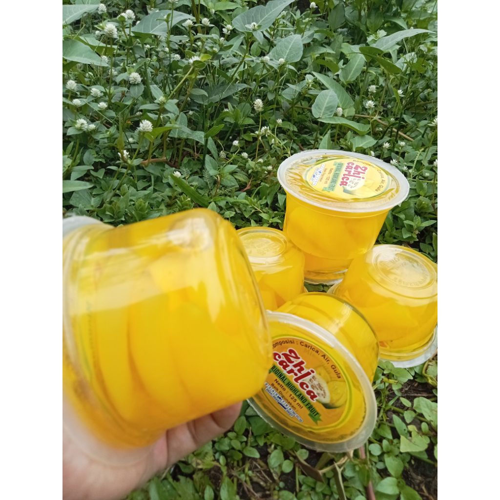

Carica khas Dieng "Zhi Carica