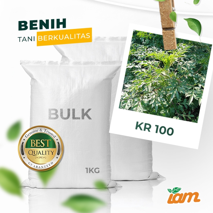 

BULK 1kg – kenikir OP (KR 100)