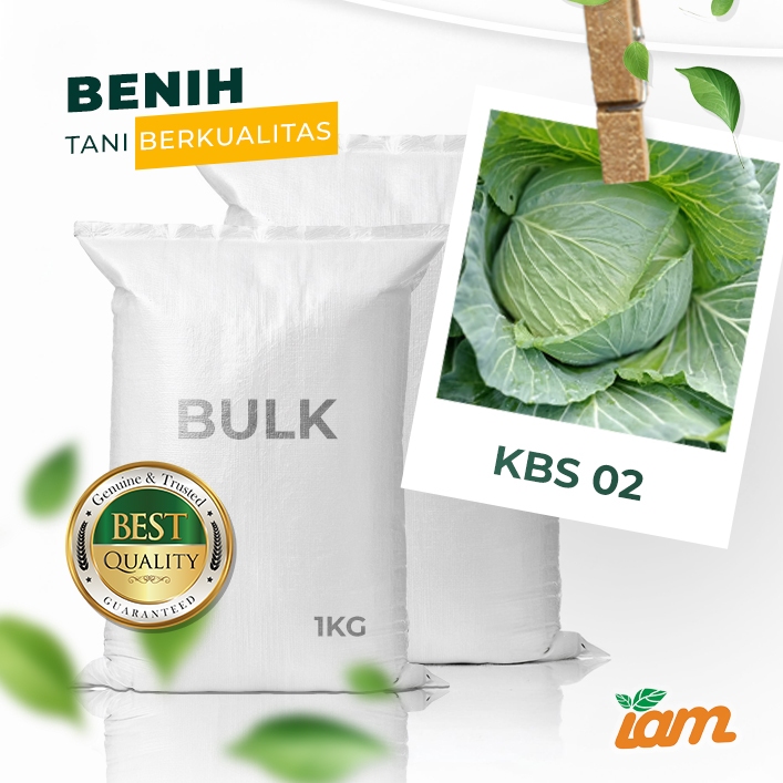 

BULK 1kg – kubis F1 (KBS 02)