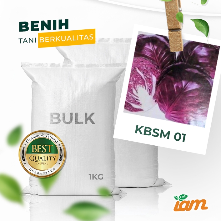 

BULK 1kg – kubis F1 (KBSM 01)