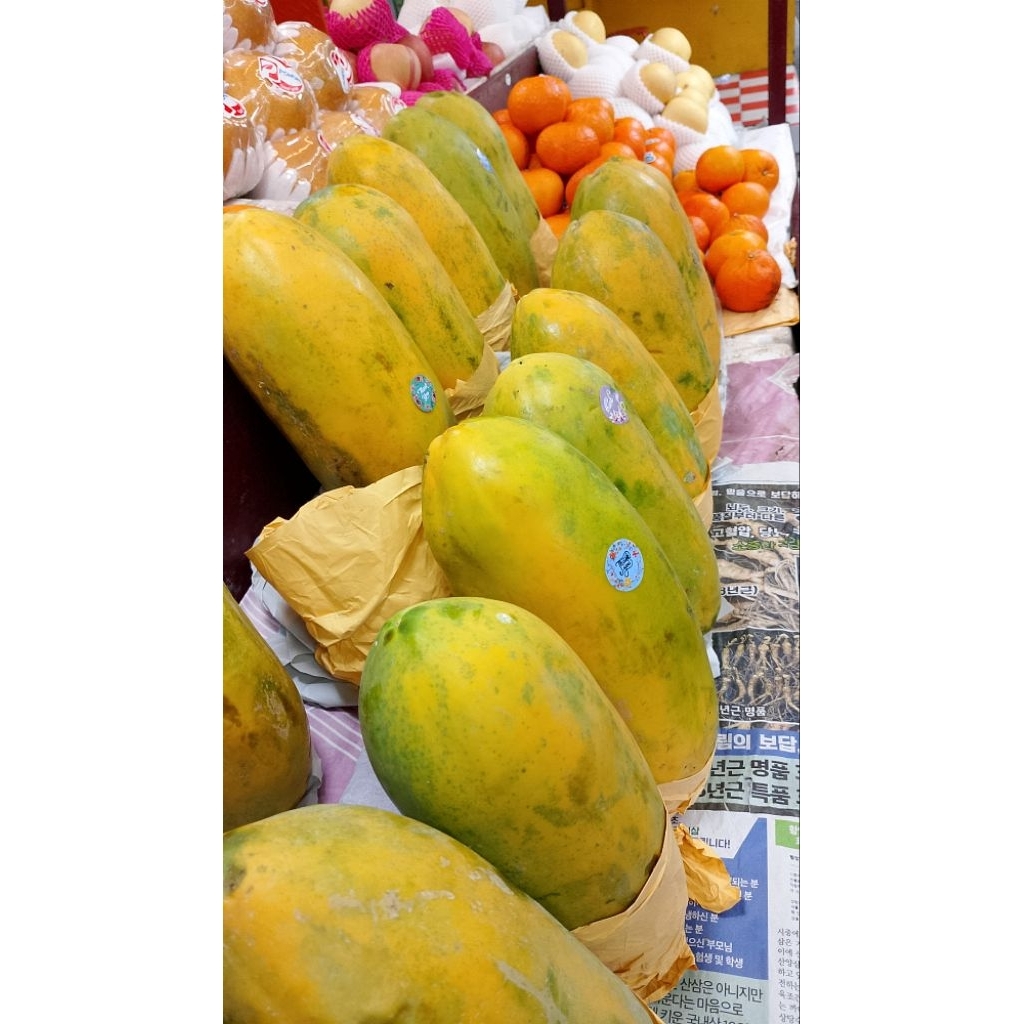 

pepaya California manis daging merah