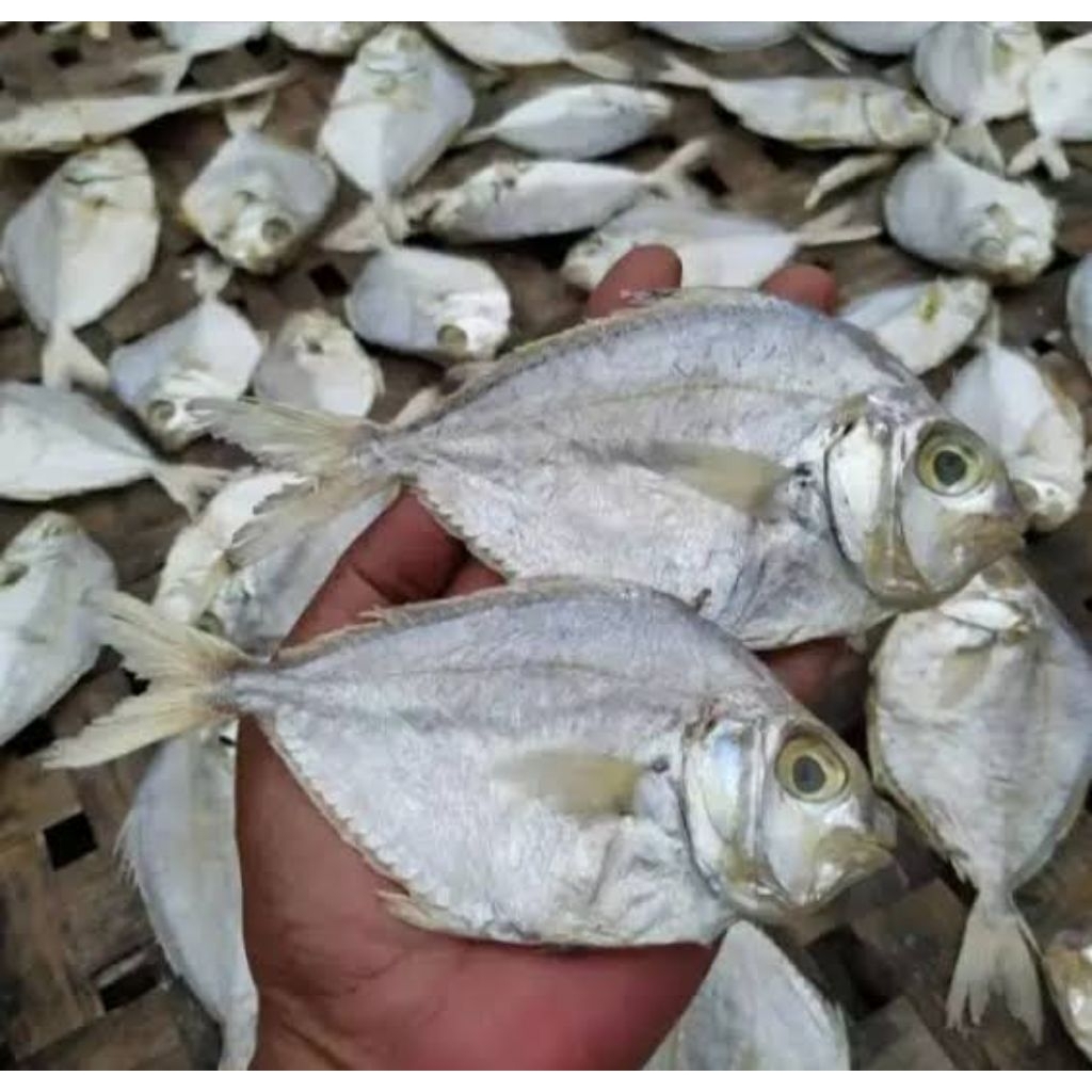 

ikan asin petek kecil kering