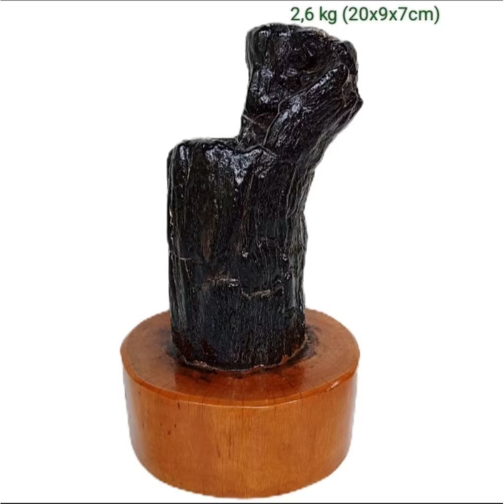 batu hias suiseki fosil kayu galih kelor (138)