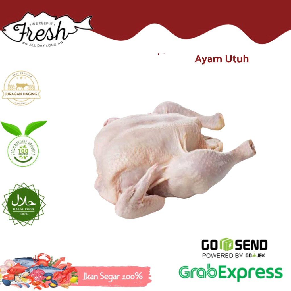 

AYAM POTONG UTUH 500g-1KG FRESH
