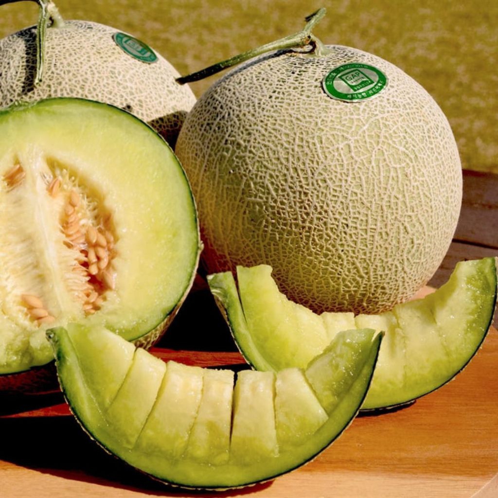 BENIH/BIJI BUAH MELON MUSK KOREA (7 BUTIR)