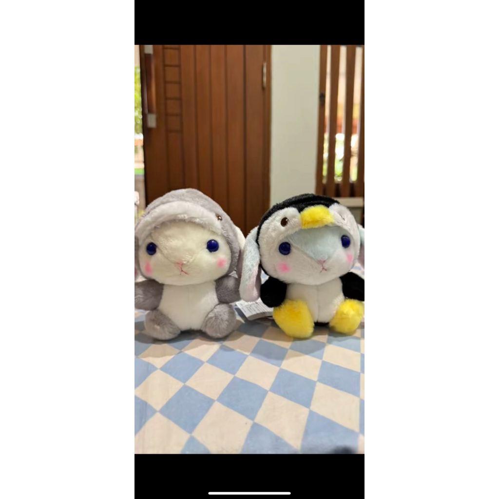 Boneka Kelinci kostum | LOPPY AMUSE
