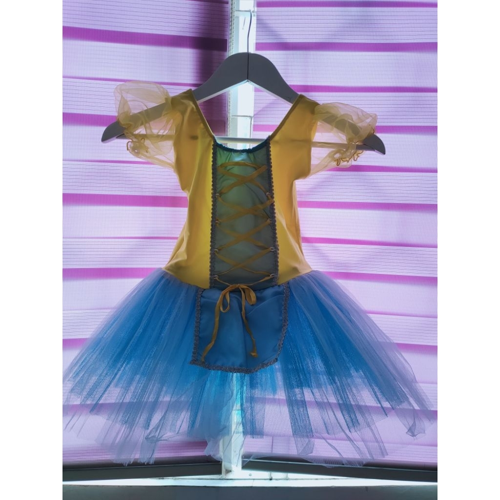 Baju ballet untuk tampil atau recital buat anak usia 4-5 tahun. Custom made preloved dengan kondisi 