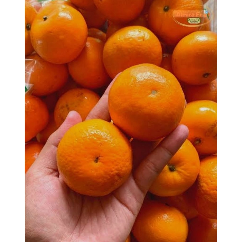 

Jeruk Wogan manis dan fresh
