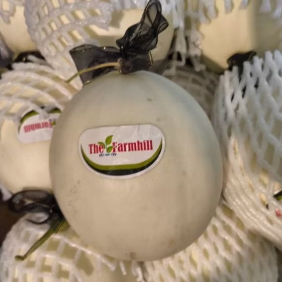 

Buah melon white manis garing premium pcs