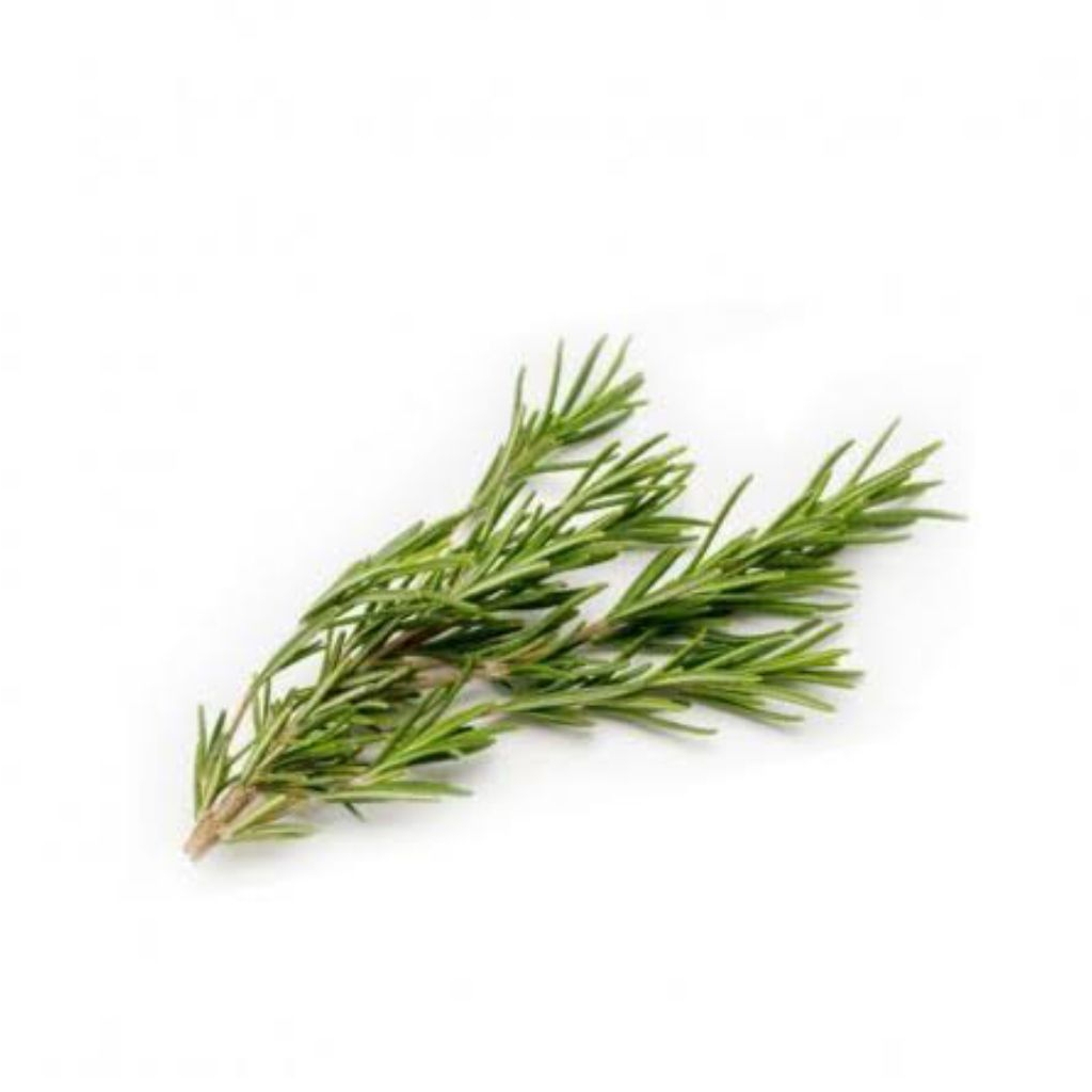 

Daun Rosemary 50 gram - Rosemary Leaves
