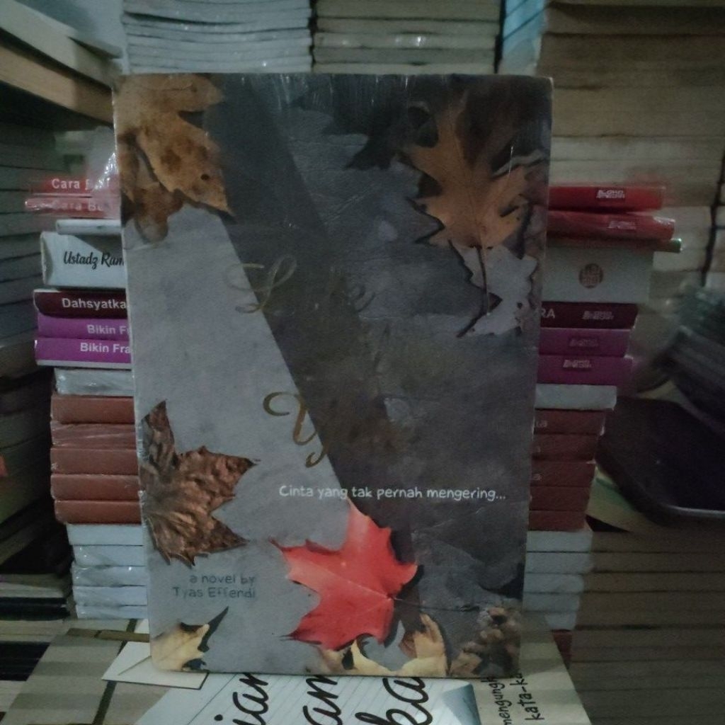 a Novel by Tyas Effendi  Life After You Cinta yang tak pernah mengering