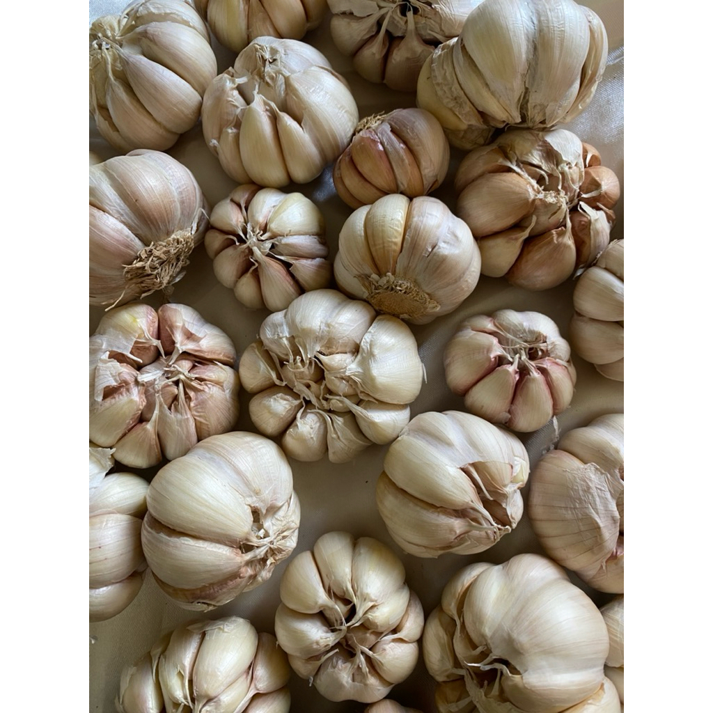 

HARGA AMBYAR ‼️BAWANG PUTIH 1 KG