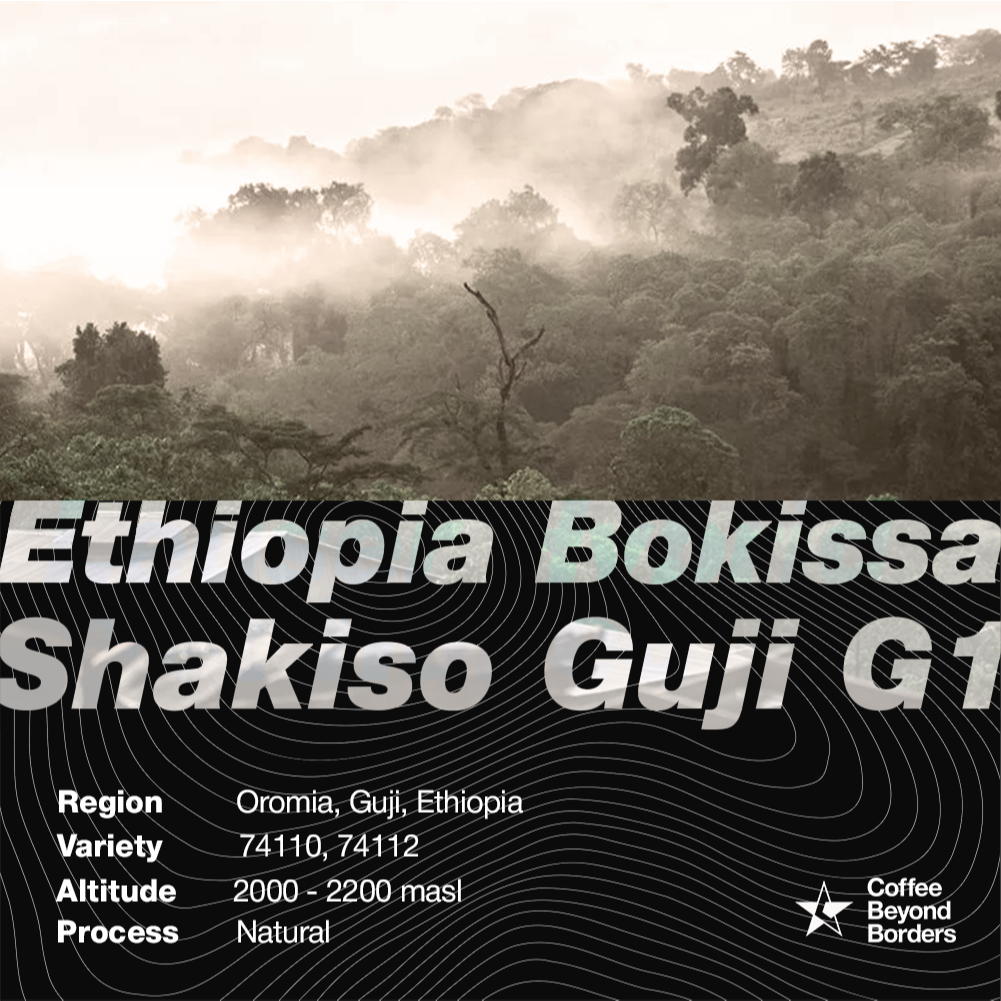 

Arabica Green Beans - Ethiopia Bokissa Shakiso Guji G1 200 gr