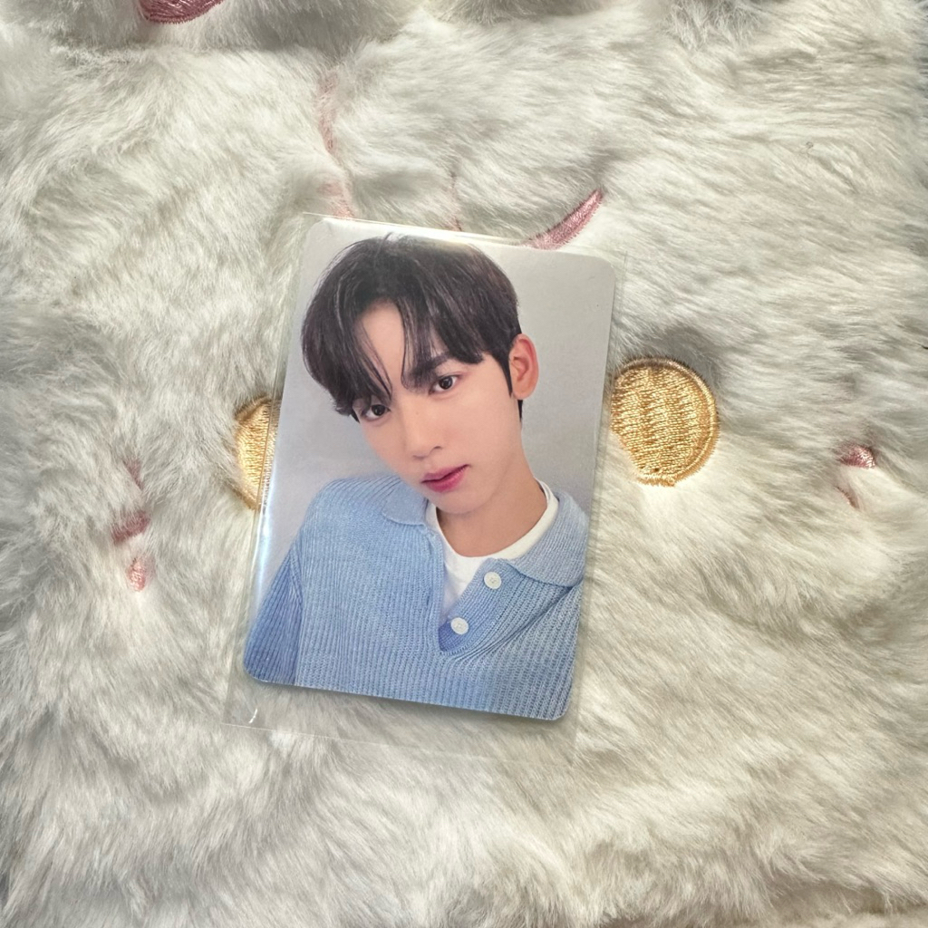 [ ganti ke selain spx ] ready ina pc han yujin zb1 bringgreen