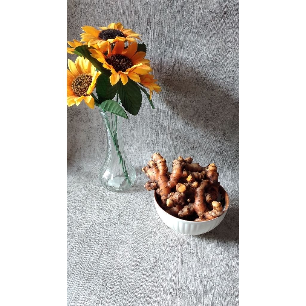 

Kunyit atau Kunir Kuning Fresh 1kg Hasil Panen Sendiri