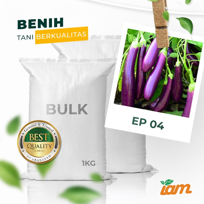 

BULK 1kg – terong ungu F1 (EP 04)