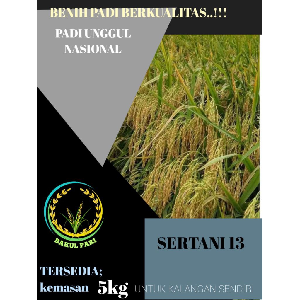 benih padi sertani 13 kemasan 5kg