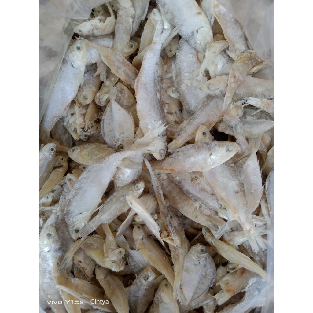 

ikan asin Bilis Kualitas premium