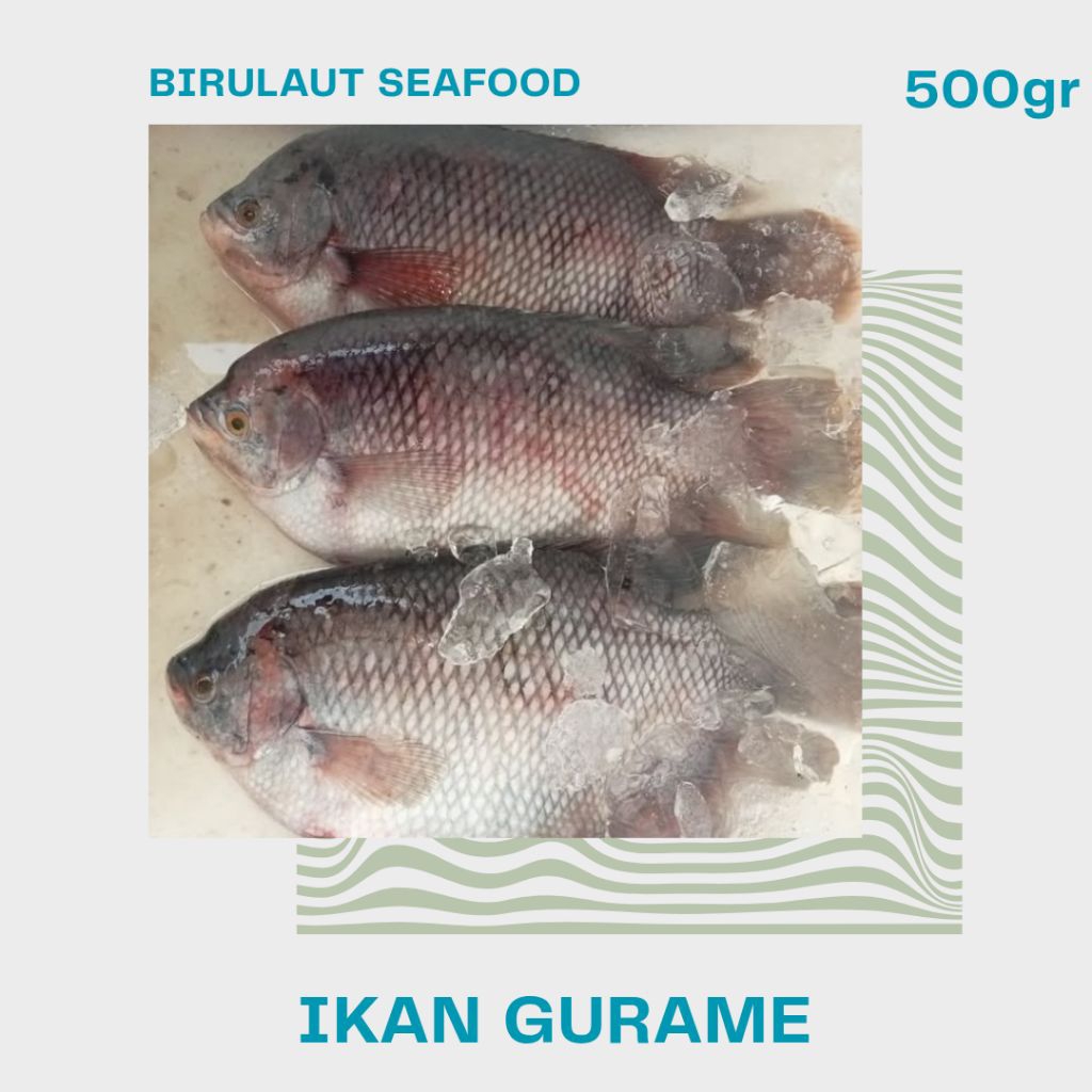 

IKAN GURAME SEGAR 500gr