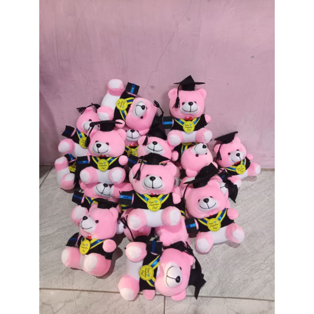 GROSIR!!!Boneka Buket Wisuda Mini Karakter teddy 15cm/Boneka wisuda Buket