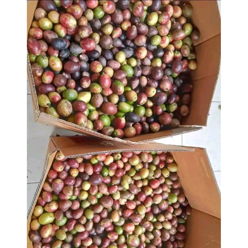 

matoa merah 1kg