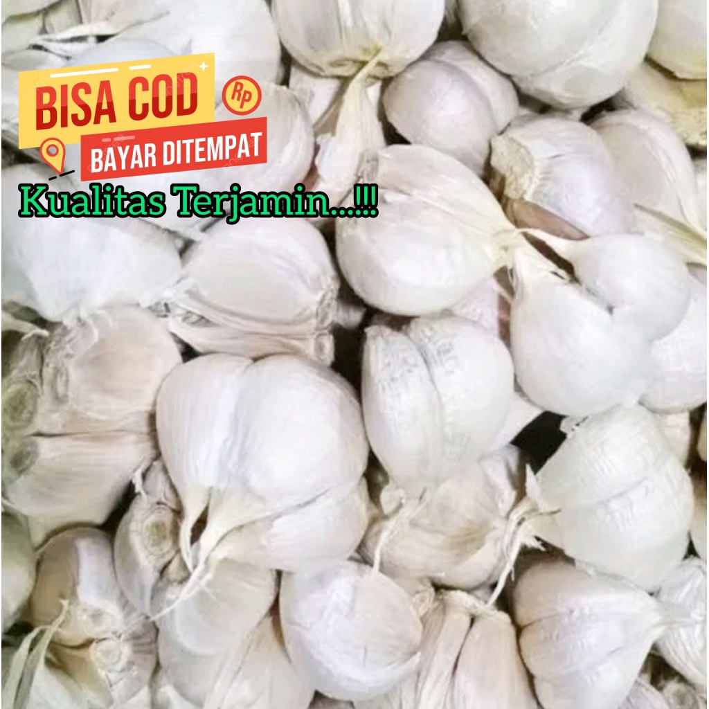 

Bawang Putih Kating 1kg Bawang Kating Putih Berkualitas Pilihan