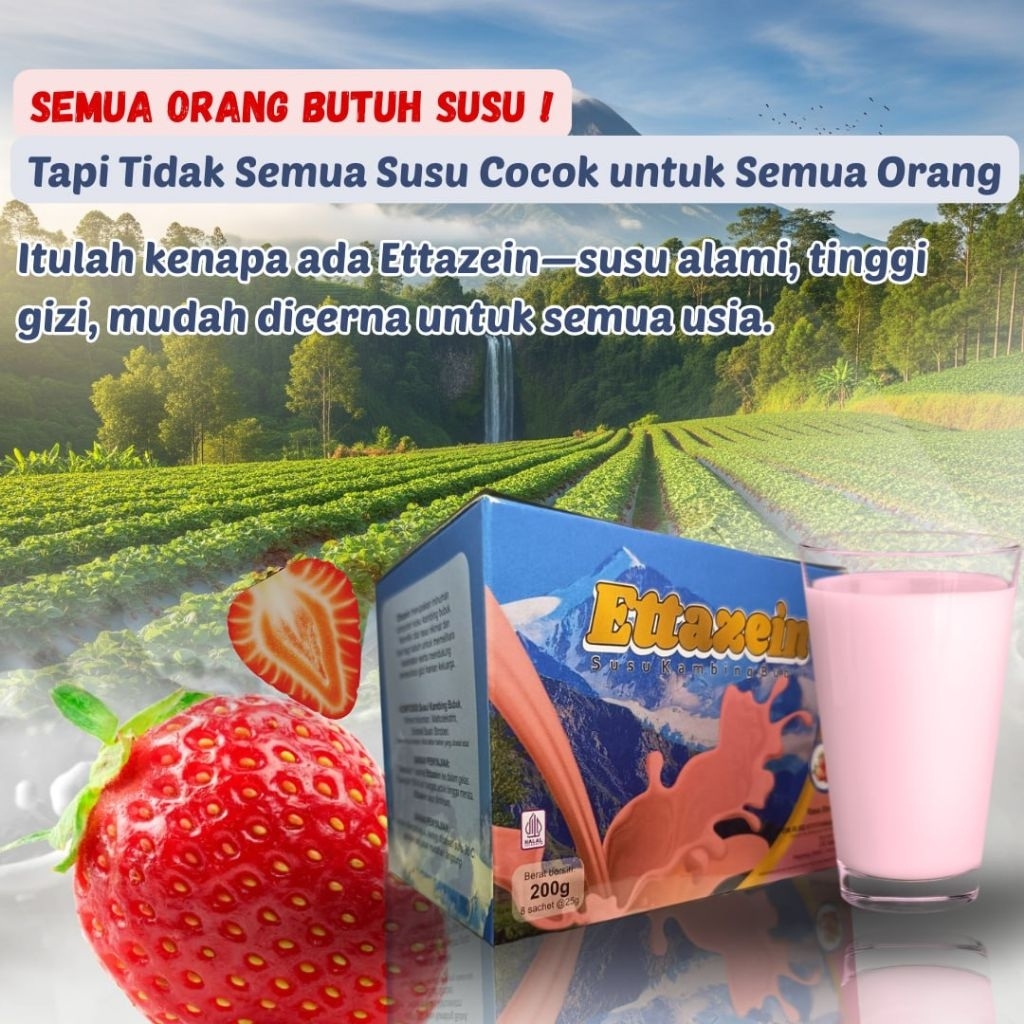 

Sering capek, pegal, atau susah tidur Mungkin tubuhmu butuh asupan alami dari susu kambing etawa!