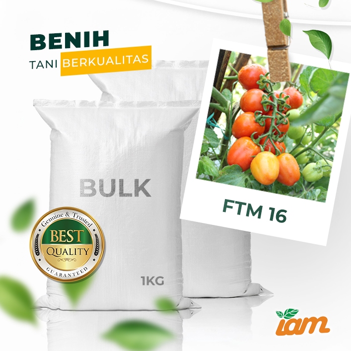 

BULK 1kg – tomat l F1 (FTM 16)