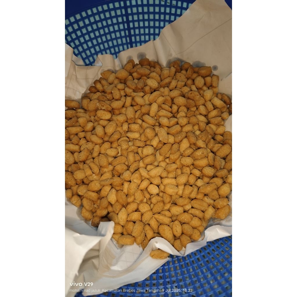 

biji ketapang renyah dan gurih