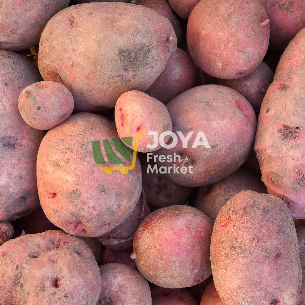 

Joya Fresh - Kentang Merah Segar/SayuranSegar/Kentang Merah Berastagi