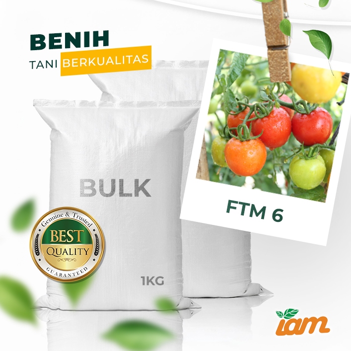 

BULK 1kg – tomat l F1 (FTM 6)
