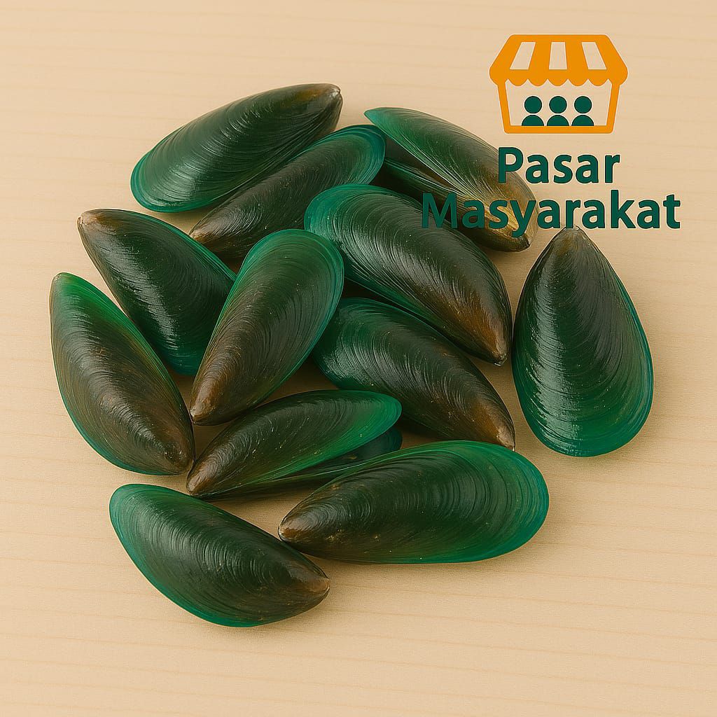 

Kerang Hijau 500 Gram Pasar.Masyarakat