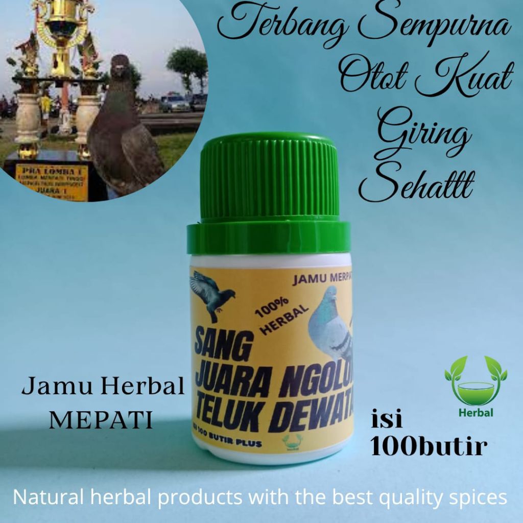 pil jamu merpati kolong super giring keras player isi 100butir