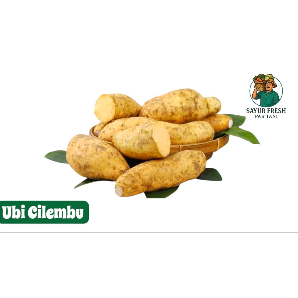 

Ubi Madu Cilembu