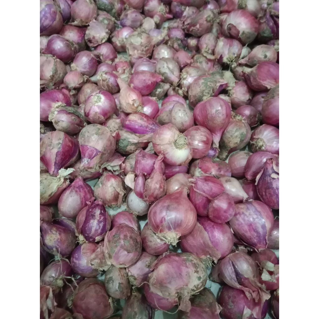 

Bawang merah kering berat 250gram