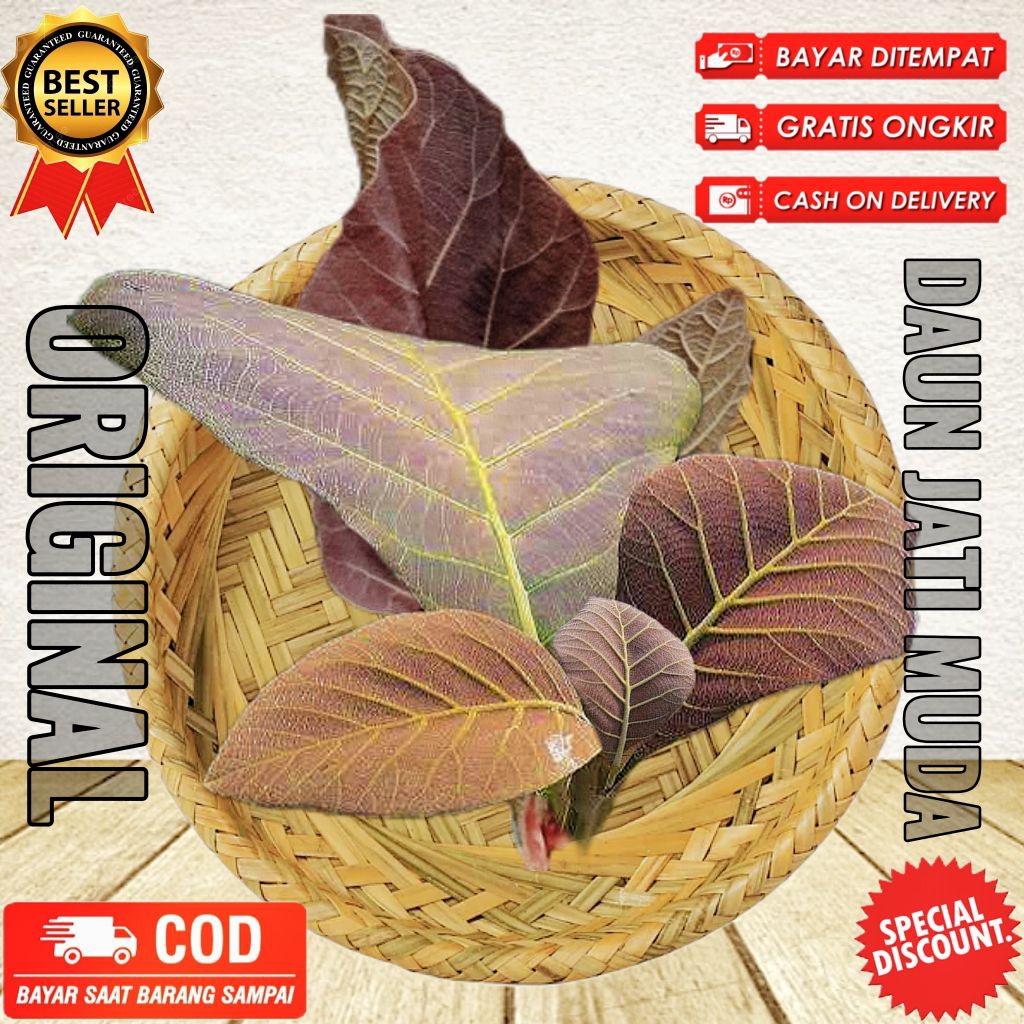 

Daun jati muda merah segar fresh dipetik dadakan 500gr