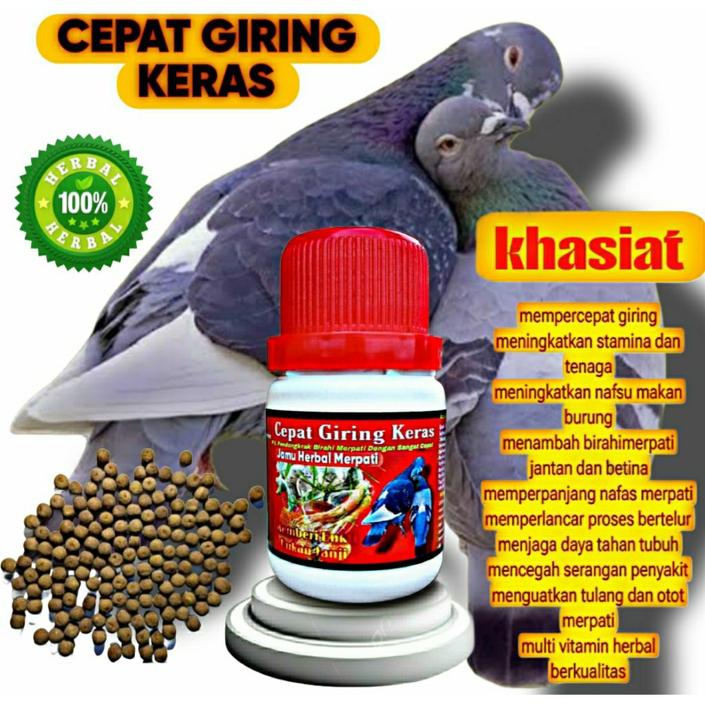 CEPAT GIRING KERAS JAMU HERBAL MERPATI ISI 100 PIL  PREMIUM cepat giring keket keras pil edan pil al