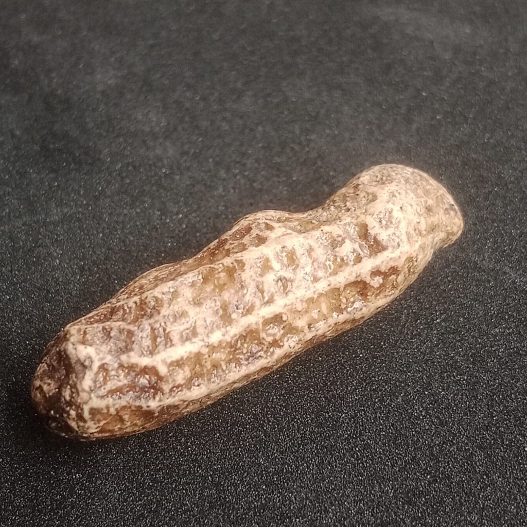 

POSIL KACANG BATU. ATAU PASIL BATU KACANG