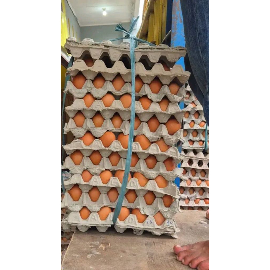 

TELOR AYAM NEGERI FRESH GRADE A isi 3kg