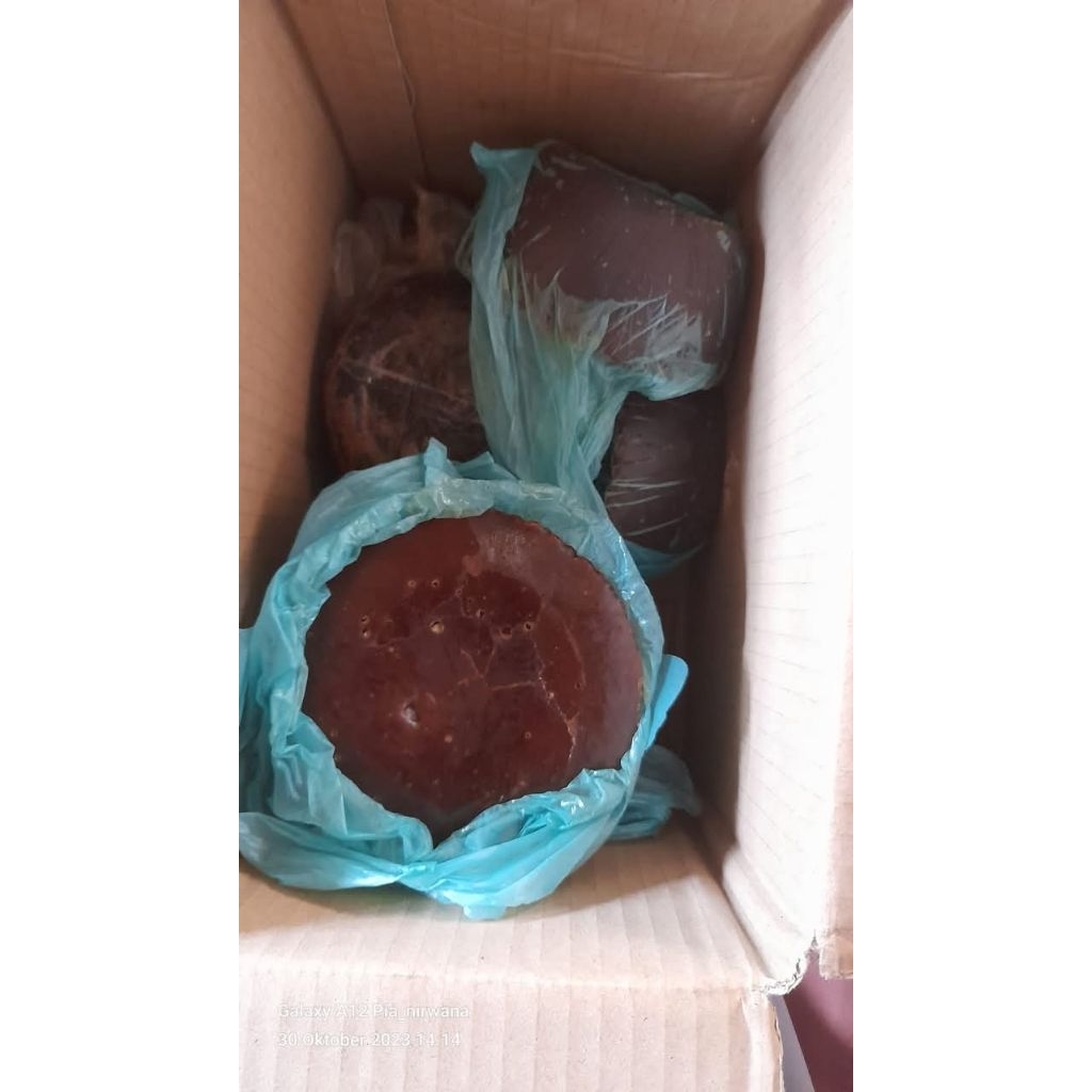 

Gula aren asli batokan 500gr