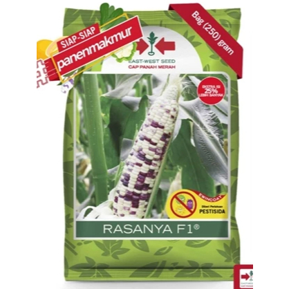 Benih Bibit Jagung Ketan Rasanya Isi 250 Gram - Panah Merah