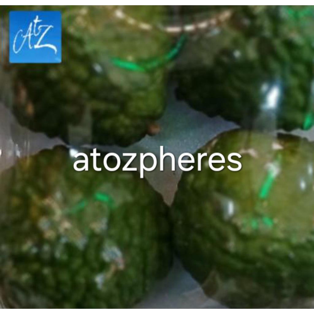 

Buah jeruk purut segar pilihan fresh 250g