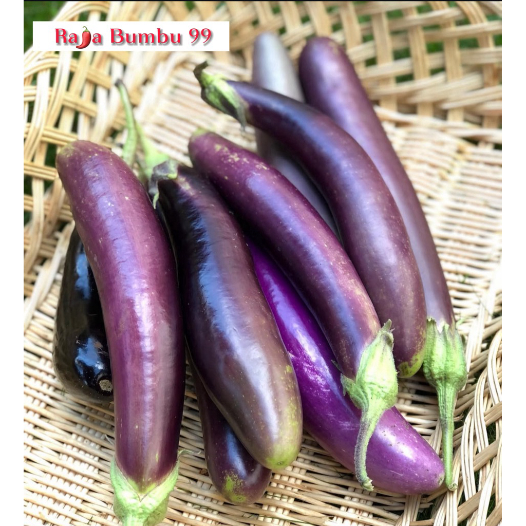 

Terong Ungu Segar – Per 1 Pcs | Sayur Harian Pilihan dari RAJA BUMBU 99
