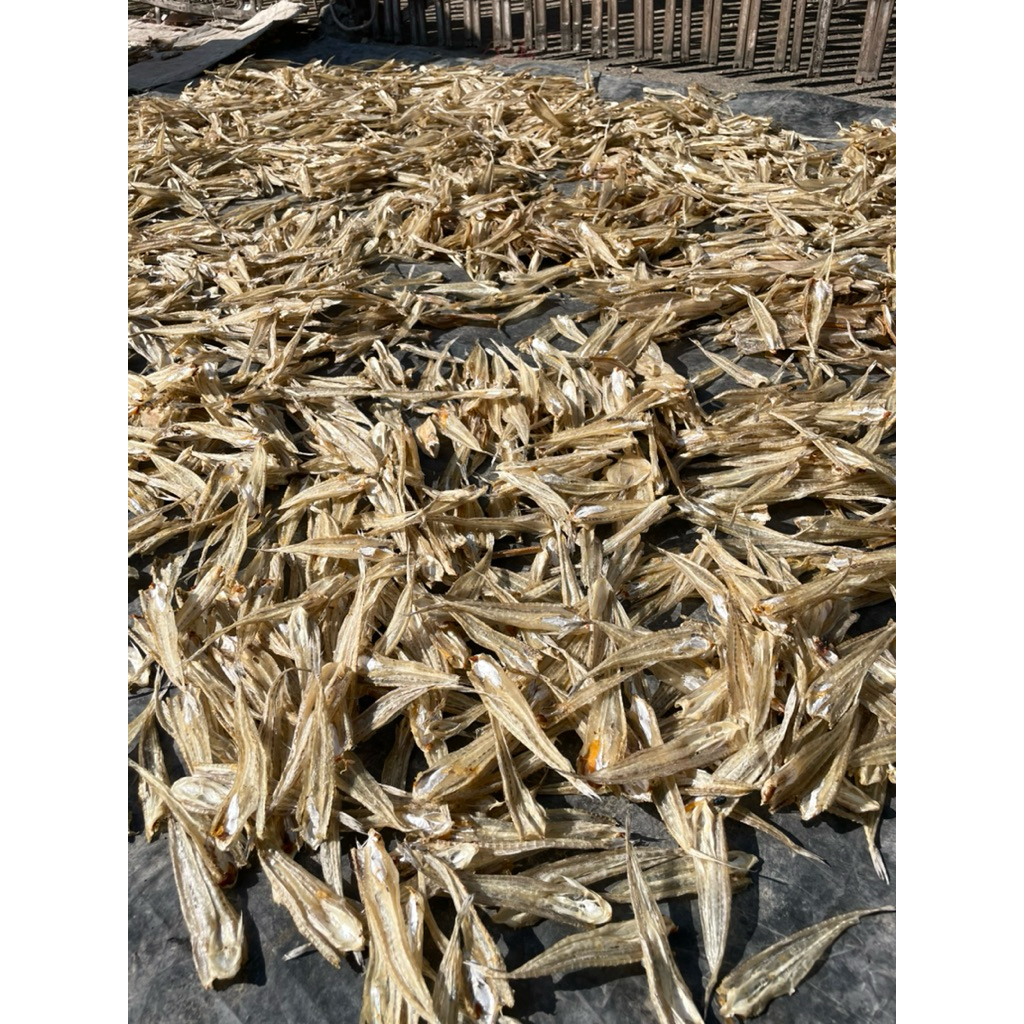 

ikan siting kering tawar 1000gr
